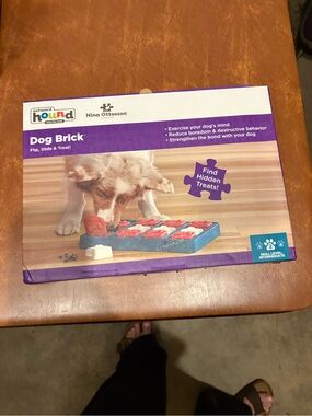Outward Hound Dog Brick Puzzle Toy - Blue & Red